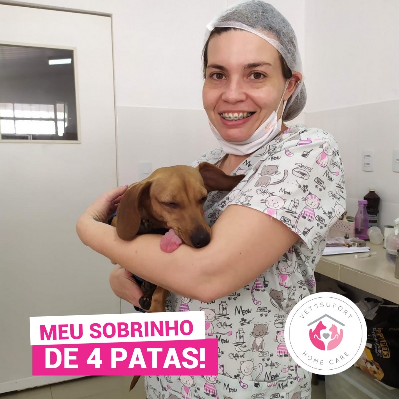 Imagem de veterinário com cachorro caramelo no colo